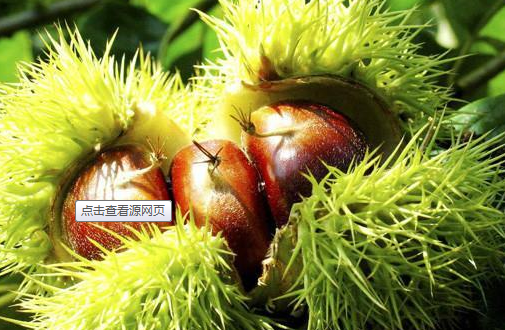 OPPO信息流广告怎么收费？OPPO广告网站
