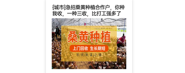 农业加盟行业在OPPO怎样投放信息流广告？