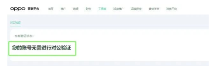 ① “无需对公验证”状态：a. 还未进行投放资质编辑、送审；b.投放资质选择了不需要对公验证的行业